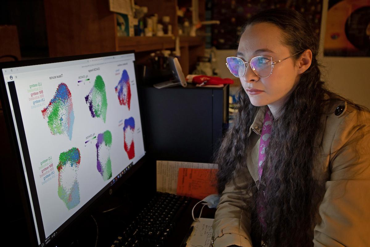BMS学生Rachel Rodenburg在实验室电脑上进行研究的照片